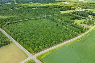 Tbd Joy Rd, Hemingway, SC 29554 - Photo 1