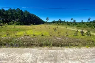 1259 Cheyenne Rd, Conway, SC 29526 - Photo 1