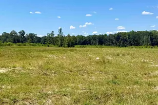 Albatross Rd, Georgetown, SC 29440 - Photo 1