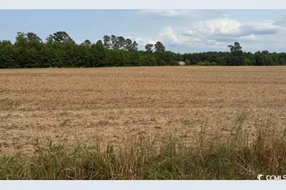 1776 Mack Rd., Conway, SC 29526 - Photo 1