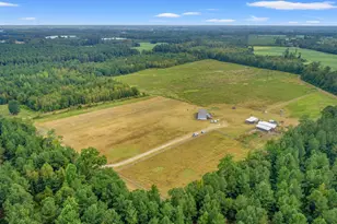 1217 Poplar Creek Rd, Lake View, SC 29563 - Photo 1