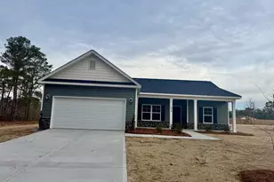 294 Lexyryan Ct, Latta, SC 29565 - Photo 1