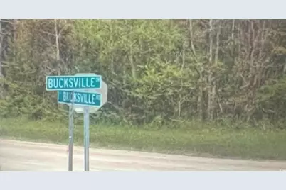 Tbd Bucksville Dr., Conway, SC 29527 - Photo 1