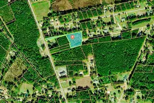 Tbd Bethune Dr, Conway, SC 29527 - Photo 1