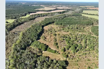 Law Rd, Pinewood, SC 29125 - Photo 1