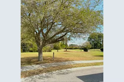 1005 Whooping Crane Dr., Conway, SC 29526 - Photo 1