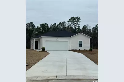 307 Horsetail Ct, Little River, SC 29566 - Photo 1