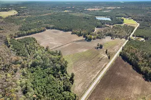 4560 Bottle Branch Rd, Conway, SC 29527 - Photo 1