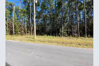 2101 Chavis Rd., Conway, SC 29526 - Photo 1