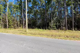 2101 Chavis Rd, Conway, SC 29526 - Photo 1