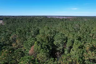 7 90 Acres-Tbd Puncheon Creek Dr, Andrews, SC 29510 - Photo 1