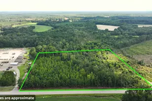 0 Hwy 521, Greeleyville, SC 29056 - Photo 1