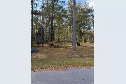 867 Denali Dr., Conway, SC 29526 - Photo 1