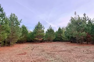 Lot 2 - Tbd New Pine Rd, Johnsonville, SC 29555 - Photo 1