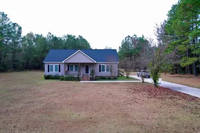 393 Coleman Rd., Greeleyville, SC 29056 - Photo 1