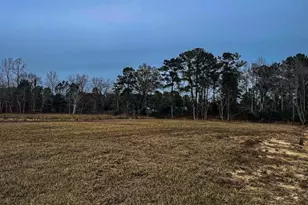 Lot 7 Rena Ln, Conway, SC 29527 - Photo 1