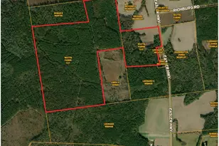 Easler Hwy, Greeleyville, SC 29056 - Photo 1