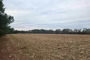 Tbd 38Ac Cart Rd, Pamplico, SC 29583 - Photo 1