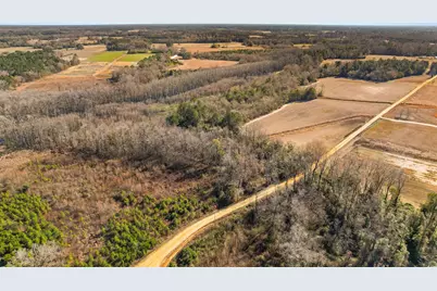 Tbd Elista Rd., Mullins, SC 29574 - Photo 1