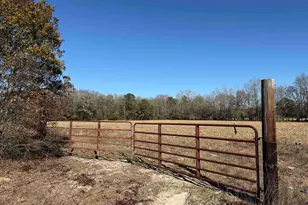10686 Scott Ave, Manning, SC 29102 - Photo 1