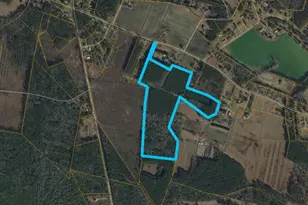 NE Old Reaves Ferry Rd, Conway, SC 29526 - Photo 1