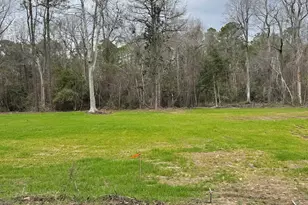 Tbd Alford Rd, Conway, SC 29526 - Photo 1