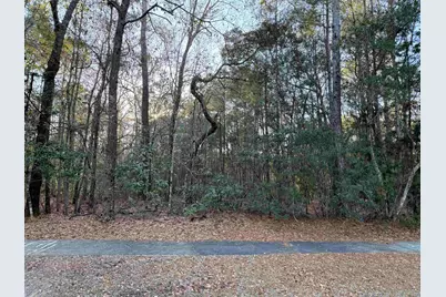 97 Madison Dr., Georgetown, SC 29440 - Photo 1