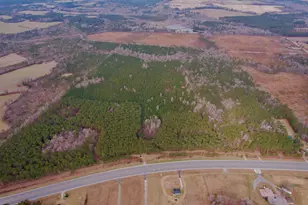 106 6 Acres-Tbd Hwy 52, Salters, SC 29590 - Photo 1