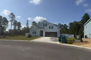 940 Hibernation Wy, Conway, SC 29526 - Photo 1