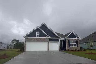 3028 Berry Bush Way, Conway, SC 29526 - Photo 1