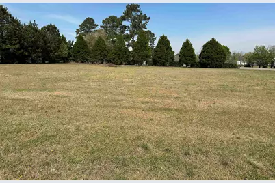 100 Ole Nobleman Ct., Conway, SC 29527 - Photo 1