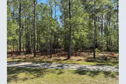 113 Pineberry Dr., Georgetown, SC 29440 - Photo 1