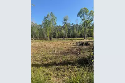 Tbd Pauley Swamp Rd., Conway, SC 29527 - Photo 1