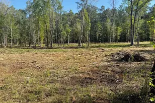 Tbd Pauley Swamp Rd, Conway, SC 29527 - Photo 1