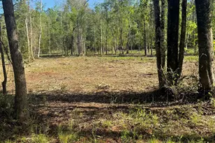 Tbd Pauley Swamp Rd, Conway, SC 29527 - Photo 1