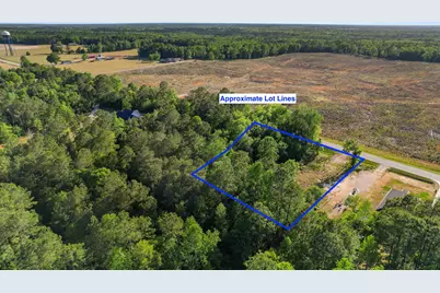 Tbd Lot 3 Pee Dee Hwy., Conway, SC 29527 - Photo 1