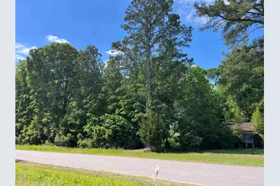 5453 Old Highway 472, Conway, SC 29526 - Photo 1