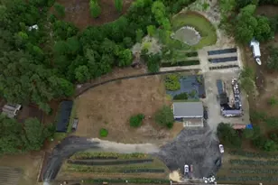 5043 Old Hwy 90, Conway, SC 29526 - Photo 1