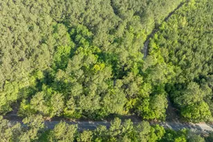 0 Etheridge Dr, Andrews, SC 29510 - Photo 1