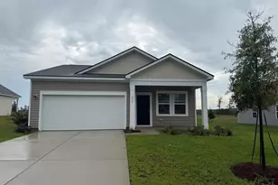 555 Silver Pidgeon St, Aynor, SC 29511 - Photo 1