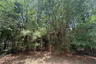 Lot 1 Brantly Rd, Andrews, SC 29510 - Photo 1