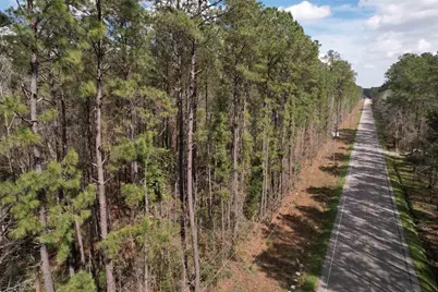 Tract B - Tbd Pennyroyal Rd., Georgetown, SC 29440 - Photo 1