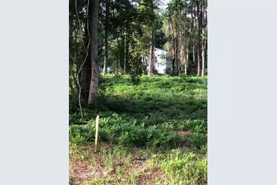 Tbd Horseshoe Circle, Conway, SC 29527 - Photo 1