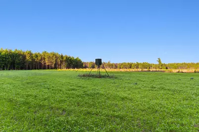 77 Acres - Tbd Bert Hanna Rd., Johnsonville, SC 29555 - Photo 1