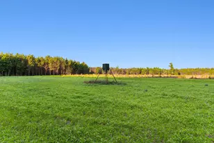 77 Acres - Tbd Bert Hanna Rd, Johnsonville, SC 29555 - Photo 1