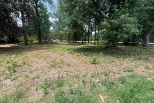 North Longstreet St, Kingstree, SC 29556 - Photo 1
