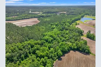 Tbd Daisy Rd., Loris, SC 29569 - Photo 1