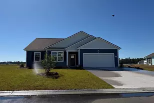 8029 Panda Bear Way, Conway, SC 29526 - Photo 1
