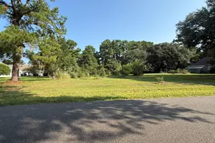 236 Wraggs Ferry Rd, Georgetown, SC 29440 - Photo 1