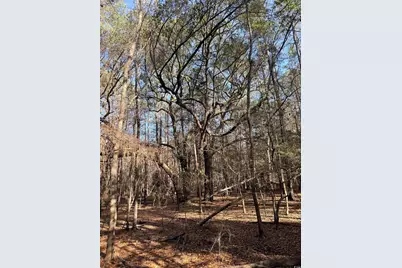 Bryants Landing Rd., Conway, SC 29526 - Photo 1